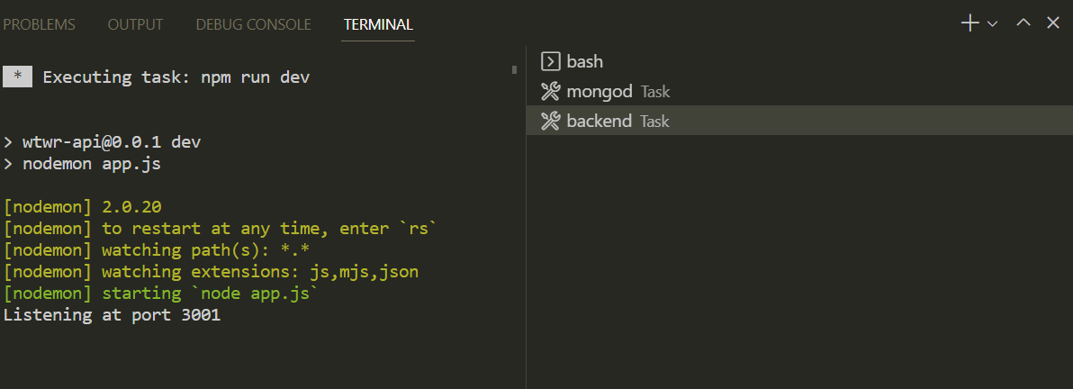 VS Code integrated terminal with an Express server running.